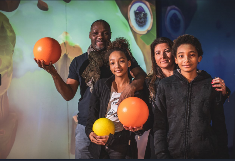 Challenge, rires et reflexes : vivez une animation inoubliable pres de Sainte Maxime avec le Mur Interactif, dans une salle fraiche et climatisee